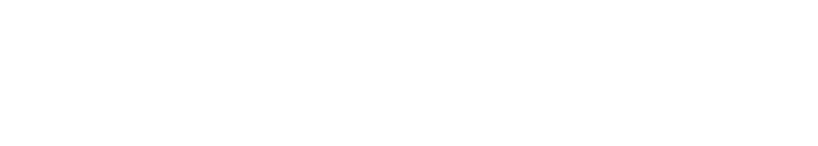 深圳市瑞丰光电子股份有限公司